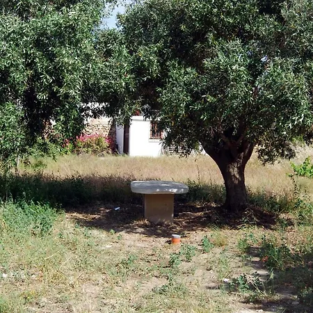 Apartment Sklipi Episkopion (Syros)